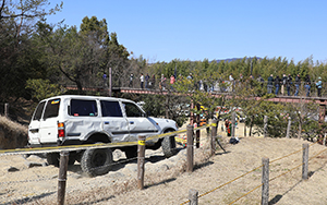 28th BRADLEY CUP CHALLENGE