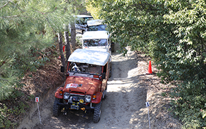 28th BRADLEY CUP CHALLENGE