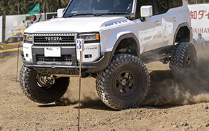 28th BRADLEY CUP CHALLENGE