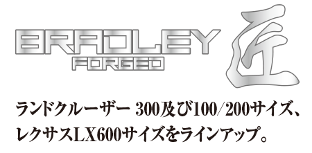 BRADLEY FORGED TAKUMI